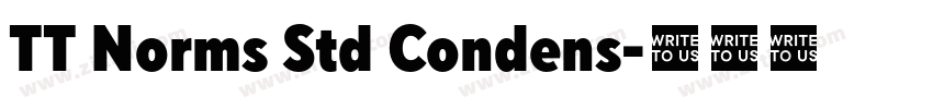 TT Norms Std Condens字体转换